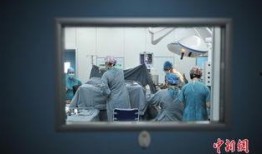 脑科医生爆料视频大全,视频大全中的惊人真相与医学洞察